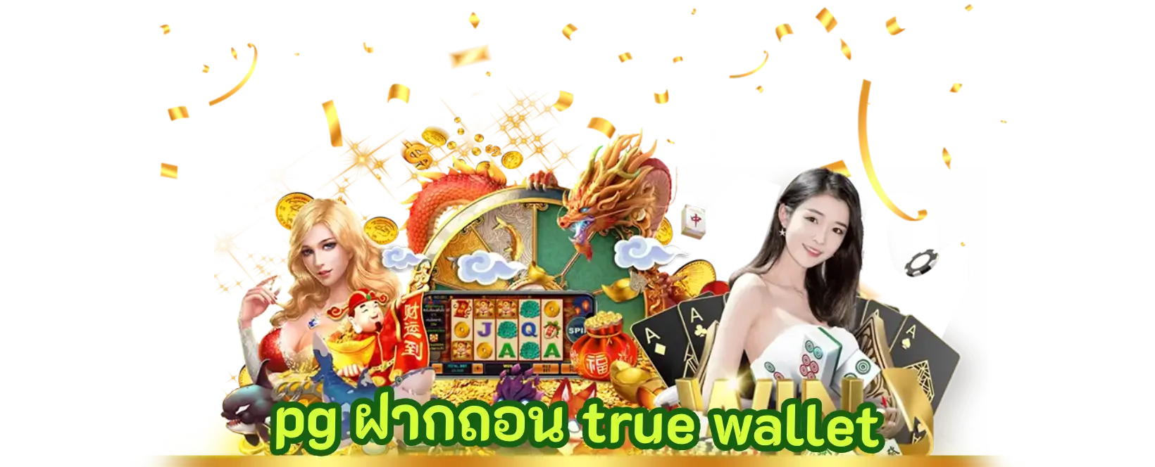 pg ฝากถอน true wallet